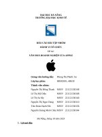 Báo cáo bài tập nhóm hành vi tổ chức Đề tài văn hoá doanh nghiệp của apple