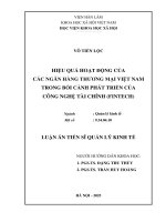 Hiệu quả hoạt Động của các ngân hàng thương mại việt nam trong bối cảnh phát triển của công nghệ tài chính (fintech)
