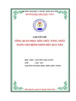 Tổng quan phục hồi chức năng thất ngôn cho bệnh nhân Đột quỵ não