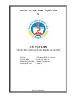 Bài tập lớn chủ Đề dân chủ tư bản là nên dân chủ Ưu việt nhất