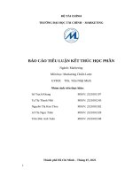 Báo cáo thực tập tại công ty anheuser busch inbev việt nam