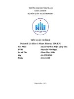 Tiểu luận cuối kỳ phân tích Ưu Điểm và nhược Điểm của bsckpi