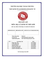 Môn Địa lý kinh tế thế giới Đề tài phân tích Địa lý kinh tế mexico