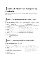 Kế hoạch 9 tuần nuôi dưỡng não bộ cho em bé