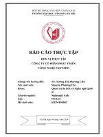 Báo cáo thực tập Đơn vị thực tập công ty cổ phần phát triển công nghệ pantado