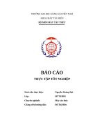 Báo cáo thực tập tốt nghiệp tại công ty tnhh dịch vụ hàng hải tan an