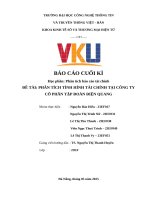 Đề tài phân tích tình hình tài chính tại công ty cổ phần tập Đoàn Điện quang