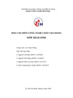 IUH - BÁO CÁO MÔN CÔNG NGHỆ CHẤT TẠO MÀNG - SƠN SILICONE