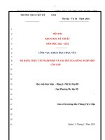 Đa dạng thực vật ngập mặn và vai trò của rừng ngập mặn cần giờ