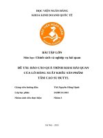 Báo cáo quá trình khai hải quan của lô hàng xuất khẩu sản phẩm tấm cao su butyl