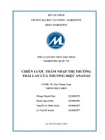 Chiến lược thâm nhập thị trường thái lan của thương hiệu ananas