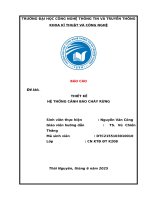 Báo cáo Đề tài thiết kế hệ thống cảnh báo cháy rừng