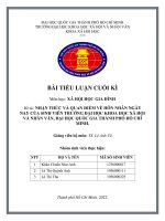 Nhận thức và quan Điểm về hôn nhân ngày nay của sinh viên trường Đại học khoa học xã hội và nhân văn, Đại học quốc gia thành phố hồ chí minh