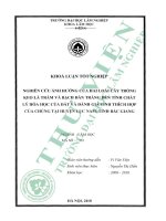 Nghiên cứu Ảnh hưởng của hai loài cây trồng keo lá tràm và bạch Đàn trắng Đến tính chất lý hóa học của Đất và Đánh giá tính thích hợp của chúng tại huyện lục nam, tỉnh bắc giang