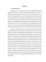 Tiểu luận PPCNKHGD - Thực trạng bạo lực học đường ở học sinh trường THPT Việt Đức