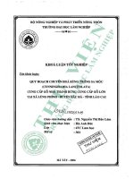 Quy hoạch chuyển hóa rừng trồng sa mộc (cunninghamia lanceolata) cung cấp gỗ nhỏ thành rừng cung cấp gỗ lớn tại xã lùng phình   huyện bắc hà   tỉnh lào cai