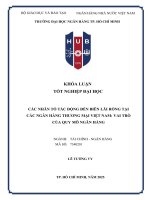 Các nhân tố tác Động Đến biên lãi ròng tại các ngân hàng thương mại việt nam vai trò của quy mô ngân hàng