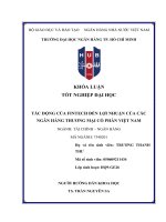 Tác Động của fintech Đến lợi nhuận của các ngân hàng thương mại cổ phần việt nam