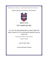 Các yếu tố Ảnh hưởng Đến sự phát triển tín dụng xanh của các ngân hàng thương mại tại việt nam