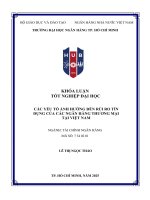 Các yếu tố Ảnh hưởng Đến rủi ro tín dụng của các ngân hàng thương mại tại việt nam