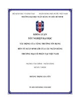 Tác Động của tăng trưởng tín dụng Đến tỷ suất sinh lời của các ngân hàng tmcp tại việt nam