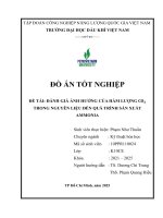 Đánh giá Ảnh hưởng của hàm lượng co2 trong nguyên liệu Đến quá trình sản xuất ammonia (phạm như thuần)