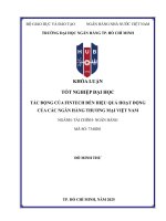 Tác Động của fintech Đến hiệu quả hoạt Động của các ngân hàng thương mại việt nam  Đỗ minh thư    tp  hồ chí minh