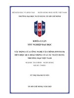 Tác Động của công nghệ tài chính (fintech) Đến hiệu quả hoạt Động của các ngân hàng thương mại việt nam