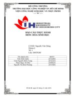 IUH - BÁO CÁO THỰC HÀNH HÓA SINH HỌC - XÁC ĐỊNH NITƠ TỔNG SỐ THEO PHƯƠNG PHÁP KJELDAHL (XÁC ĐỊNH HÀM LƯỢNG PROTEIN THÔ)