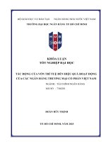 Tác Động của vốn trí tuệ Đến hiệu quả hoạt Động của các ngân hàng thương mại cổ phần việt nam