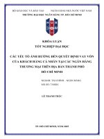 Các yếu tố Ảnh hưởng Đến quyết Định vay vốn của khách hàng cá nhân tại các ngân hàng thương mại trên Địa bàn tp  hồ chí minh
