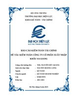 Tiểu luận Kiểm toán tài chính tại Công ty Cổ phần Xuất Nhập Khẩu Sa Giang