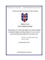 Ảnh hưởng của công bố thông tin trách nhiệm xã hội Đến hiệu quả hoạt Động của các ngân hàng thương mại niêm yết tại việt nam