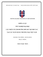 Các nhân tố Ảnh hưởng Đến dư nợ cho vay tại các ngân hàng thương mại việt nam