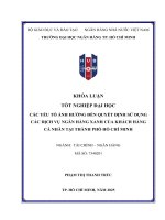 Các yếu tố Ảnh hưởng Đến quyết Định sử dụng các dịch vụ ngân hàng xanh của khách hàng cá nhân tại thành phố hồ chí minh