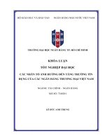 Các nhân tố Ảnh hưởng Đến tăng trưởng tín dụng của các ngân hàng thương mại việt nam