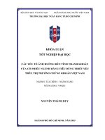 Các yếu tố Ảnh hưởng Đến tính thanh khoản của cổ phiếu ngành hàng tiêu dùng thiết yếu trên thị trường chứng khoán việt nam