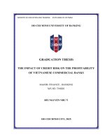 The impact of credit risk on the profitability of vietnamese commercial banks