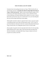 Giải pháp hoàn thiện hoạt động Digital Marketing tại Công ty TNHH Sofa Kim Phú