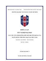 Các yếu tố Ảnh hưởng Đến rủi ro tín dụng của ngân hàng thương mại tại việt nam