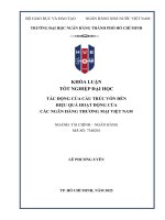 Tác Động của cấu trúc vốn Đến hiệu quả hoạt Động của các ngân hàng thương mại việt nam  lê phương uyên    tp  hồ chí minh