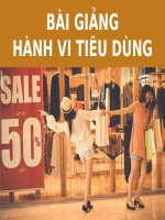 BÀI GIẢNG - HÀNH VI TIÊU DÙNG ( combo full slides 7 chương )