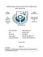 Thực hành thương mại Điện tử kế hoạch kinh doanh thương mại Điện tử về mĩ phẩm caudalie của dreambeauty