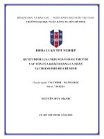 Quyết Định lựa chọn ngân hàng tmcp Để vay vốn của khách hàng cá nhân tại thành phố hồ chí minh