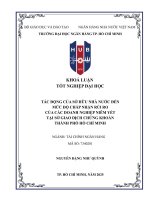 Tác Động của sở hữu nhà nước Đến mức Độ chấp nhận rủi ro của các doanh nghiệp niêm yết tại sở giao dịch chứng khoán thành phố hồ chí minh