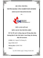 IUH - TIỂU LUẬN GIỮA KÌ QUẢN TRỊ THƯƠNG HIỆU - Đề xuất ý tưởng sáng tạo để tăng nhận diện thương hiệu & thúc đẩy hành vi mua hàng cho thương hiệu đá Eurostone