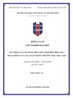 Tác Động của Đa dạng hoá thu nhập Đến hiệu quả hoạt Động của các ngân hàng thương mại việt nam