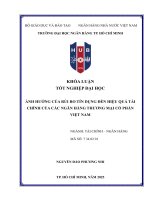 Ảnh hưởng của rủi ro tín dụng Đến hiệu quả tài chính của các ngân hàng thương mại cổ phần việt nam