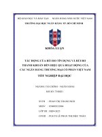 Tác Động của rủi ro tín dụng và rủi ro thanh khoản Đến hiệu quả hoạt Động của các ngân hàng thương mại cổ phần việt nam