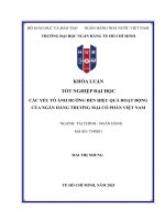 Các yếu tố Ảnh hưởng Đến hiệu quả hoạt Động của ngân hàng thương mại cổ phần việt nam